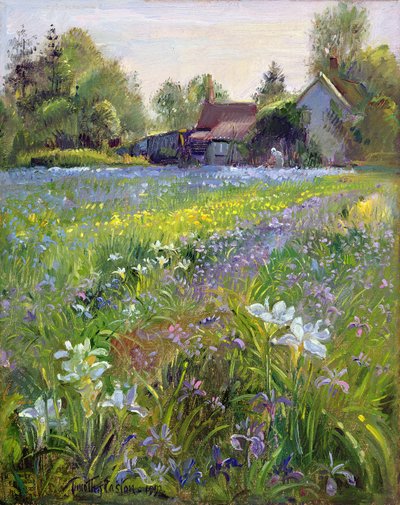 Dwarf Irises and Cottage by Timothy Easton